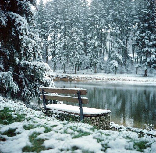 Two Versions of a Winterscape—By the Heinz Brothers