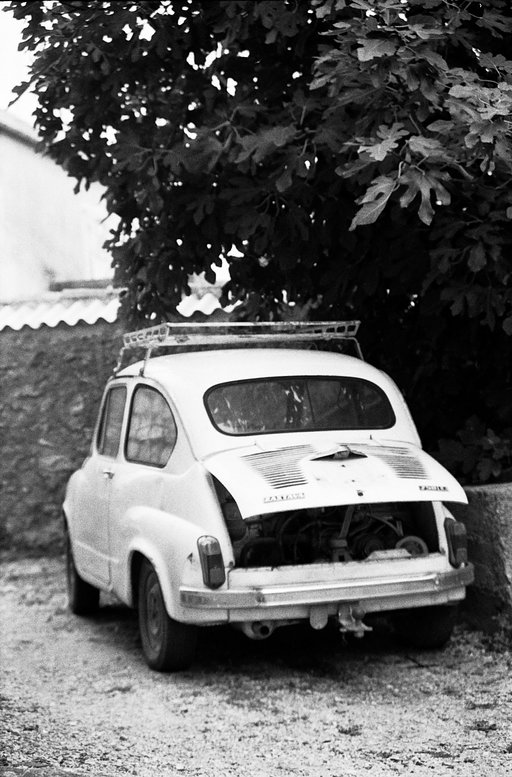 Ilford Delta 400 (35mm, 400 iso) staff-review