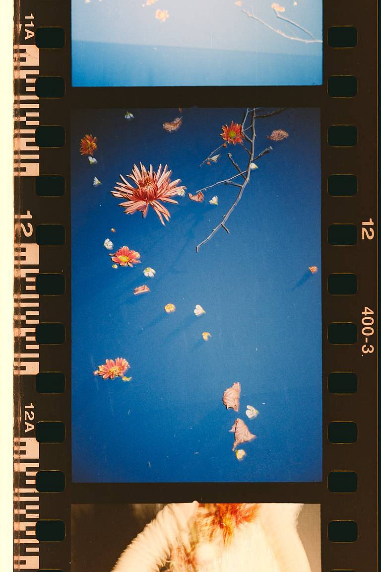 © 呀岳 | Lomography ISO 100 彩色负片
