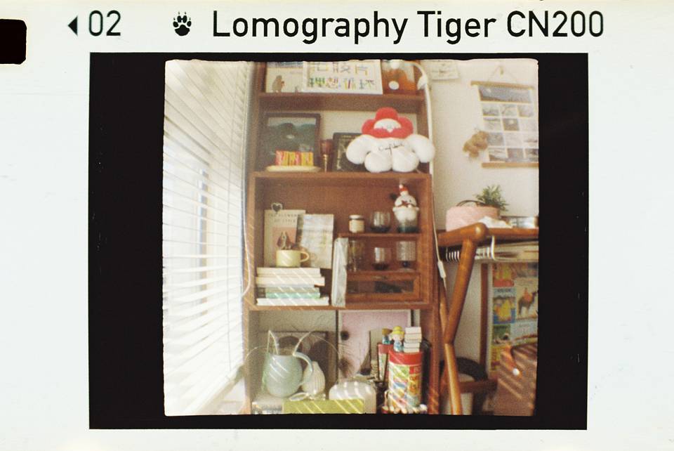 © 炉膛 | Diana Byby 110 胶片相机 &amp; Lomography Color Tiger 200 彩色负片