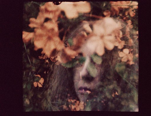 @elwynreverie Captures Dreams With The Diana Baby 110