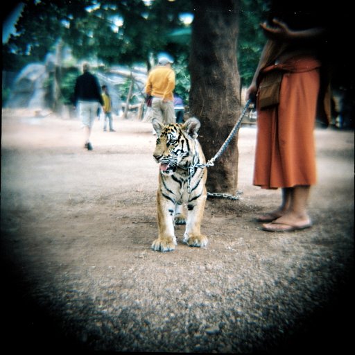 LomoAmigo Mira Aroyo of Ladytron Shoots with the Diana F+!