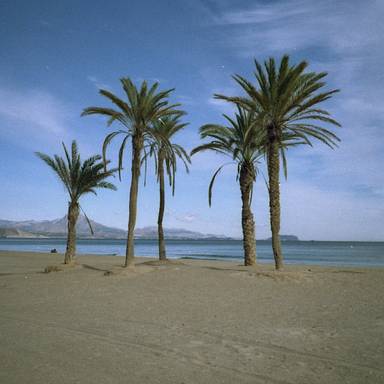carloscorbalan
