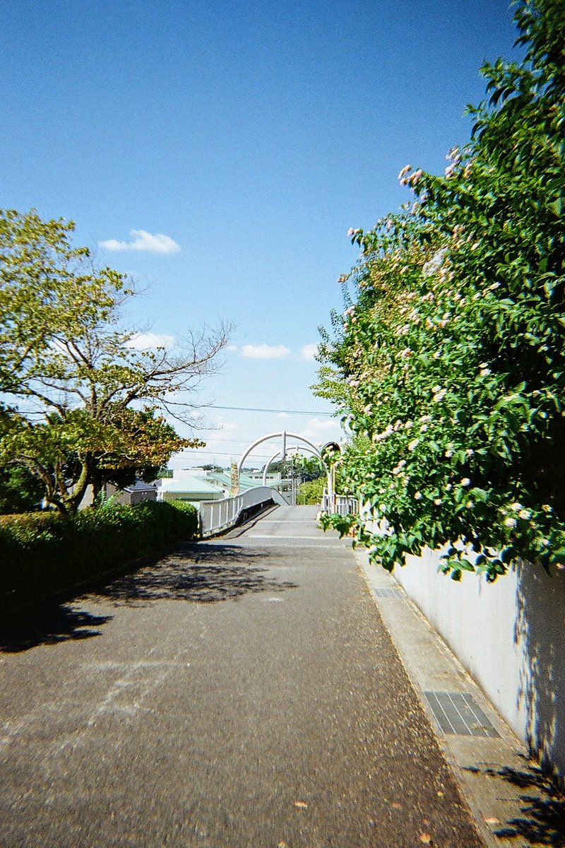 28008034 — hii_camera · Lomography