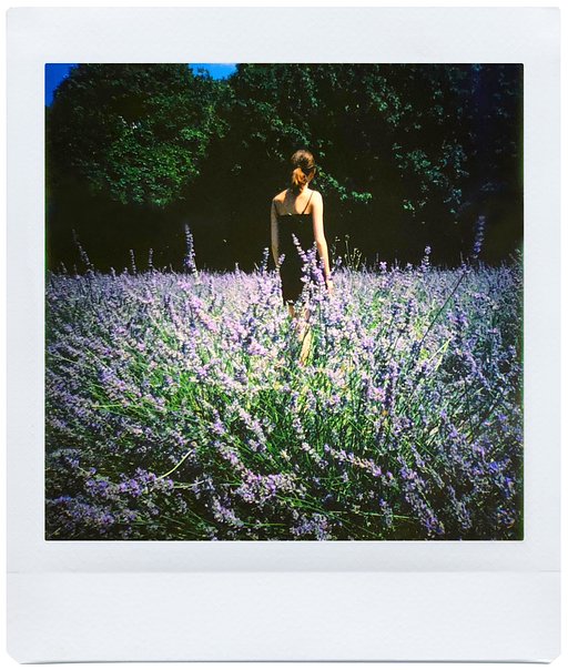 Lovely Family Moments – Frenchyfyl and the Diana Instant Square