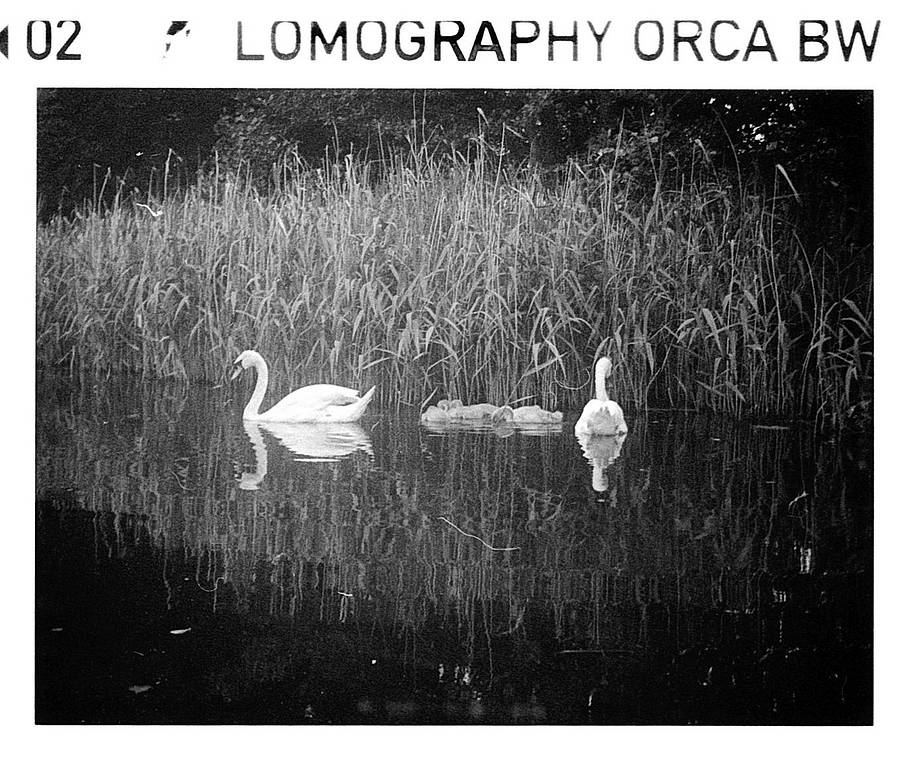 © stereograph
