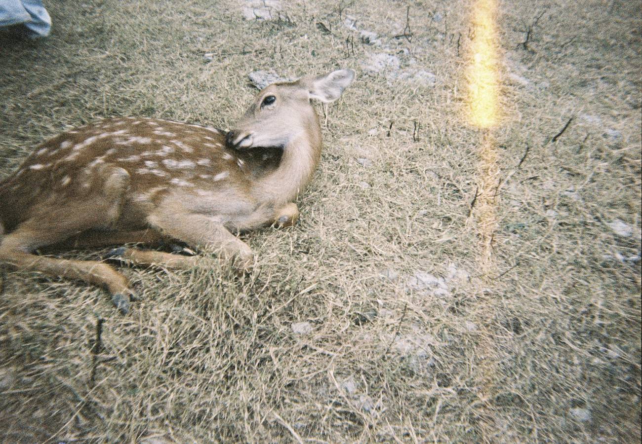 © 蒋旭妍 ｜ 使用 Lomography Simple Use 易拍胶片相机（LomoChrome 大都会负片）拍摄