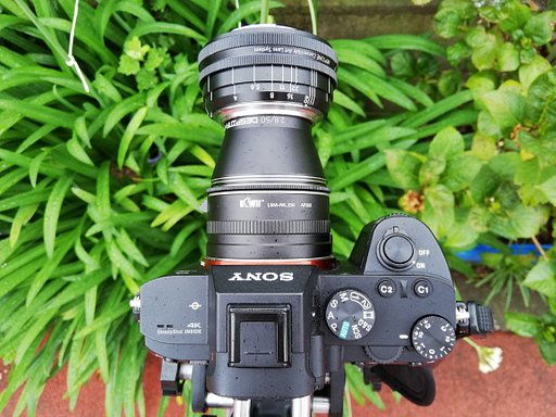 【マクロ写真】Neptune Art Lens リバースアダプターで大実験