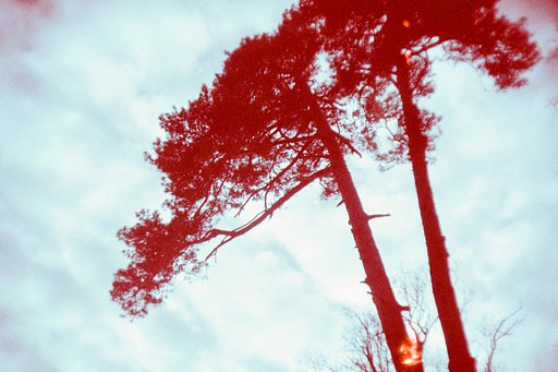 What Happens When You Redscale LomoChrome Films? – A DIY by Christian Heidebur