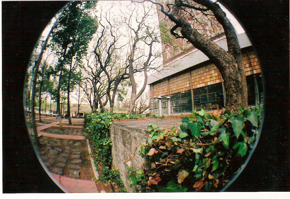 墨西哥国立自治大学 （UNAM） 主校区 位于墨西哥城南部，是墨西哥现代主义的杰作，其风格以壁画主义和鲜艳的色彩为标志。中央图书馆 上有 Juan Gorman 绘制的四面壁画，整个校区将开放空间、花园与城市规划巧妙融合，营造出一种“校园博物馆”的氛围。这里到处都是适合拍照的角落，但我们推荐你带上 Fisheye No.2 135 第二代鱼眼胶片相机，再装上一卷 Lomography 彩色负片 ISO 400，用独特的视角去捕捉那些惊艳的色彩。对了，记得去哲学与文学系找点吃的，那里有不少有趣又特别的小吃。(Photo by wario_eye)