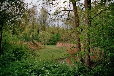 Camera: Nikon Lite Touch Zoom 110s AF · Lomography