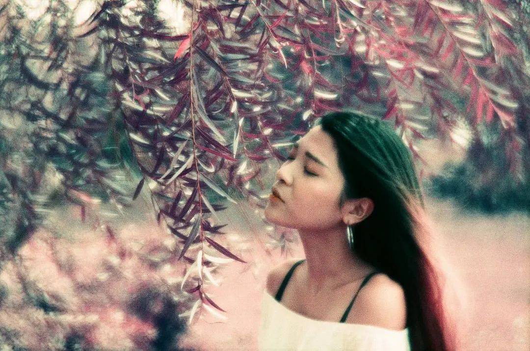 ©Shawnlin | 镜头：Petzval 匹兹伐 80.5 艺术镜头｜胶卷：LomoChrome Purple 紫调胶卷