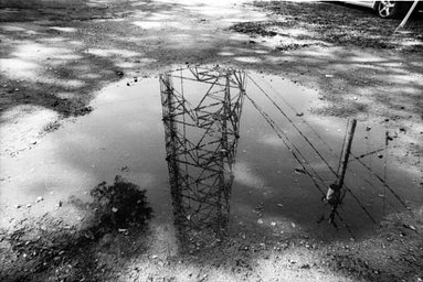 Lens: Vivitar Series 1 f/1.9 28mm · Lomography