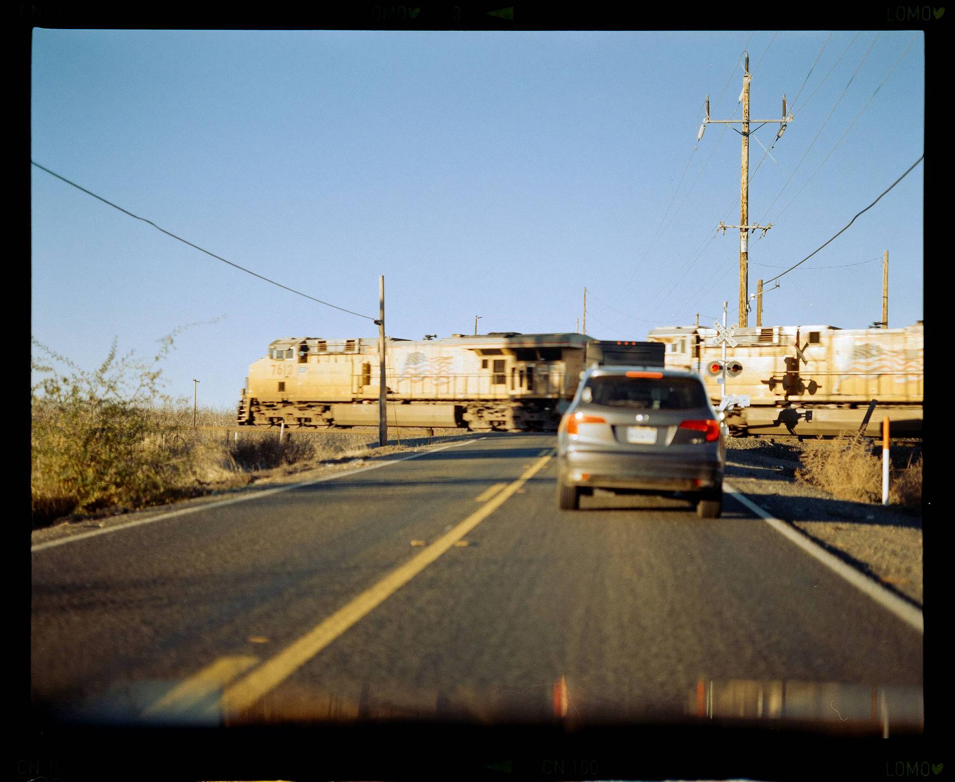 Photo by Brendan Flesher
