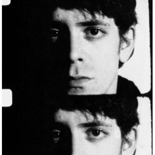 loureed007