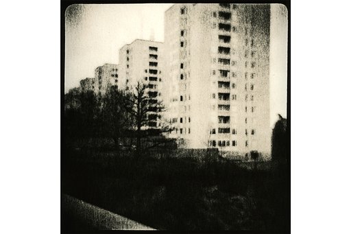 DIY Lith Printing