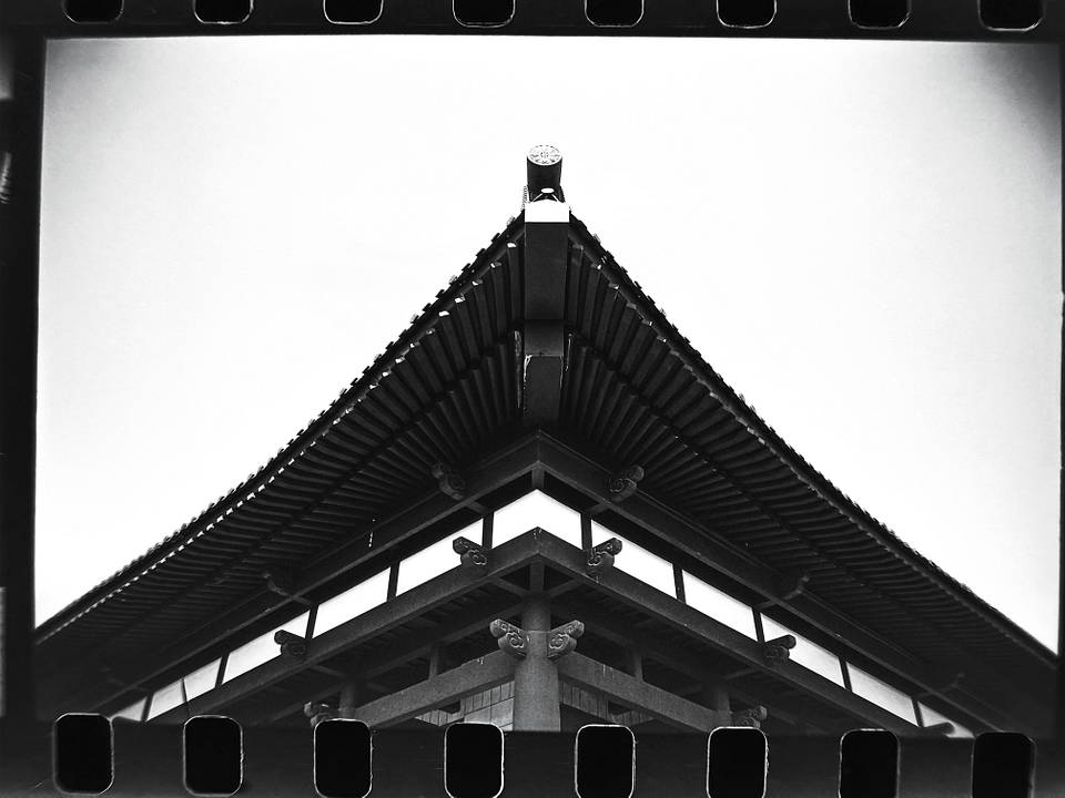 © 临万川 |  使用Lomo LC-A 120 胶片相机 &amp; Lomography B&amp;W Earl Grey ISO 100 120 黑白胶卷拍摄
