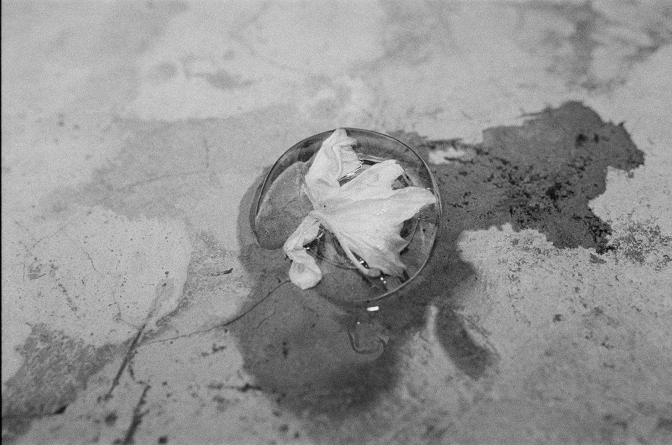 Photo by 灰鸟塌条
