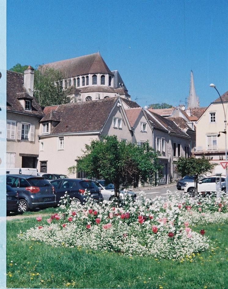 图源：mackiechartres, iamleighmiller, ck_berlin