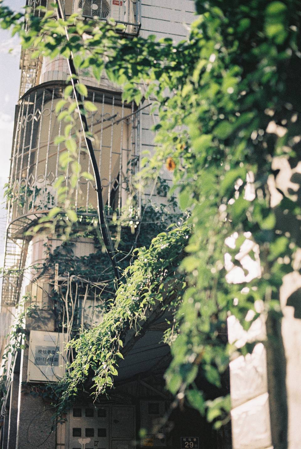 © 德铭 ｜ LomoChrome Classicolor ISO 200 135 经典版彩色负片