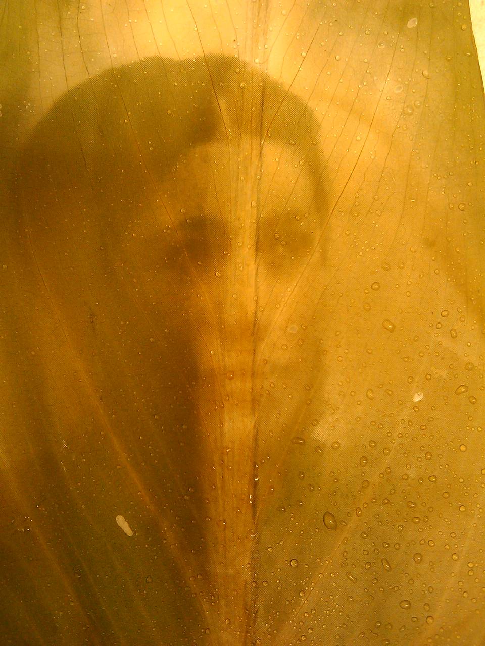 Photos by lucia-b