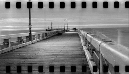 Lens: kowa 55mm F3.5 · Lomography