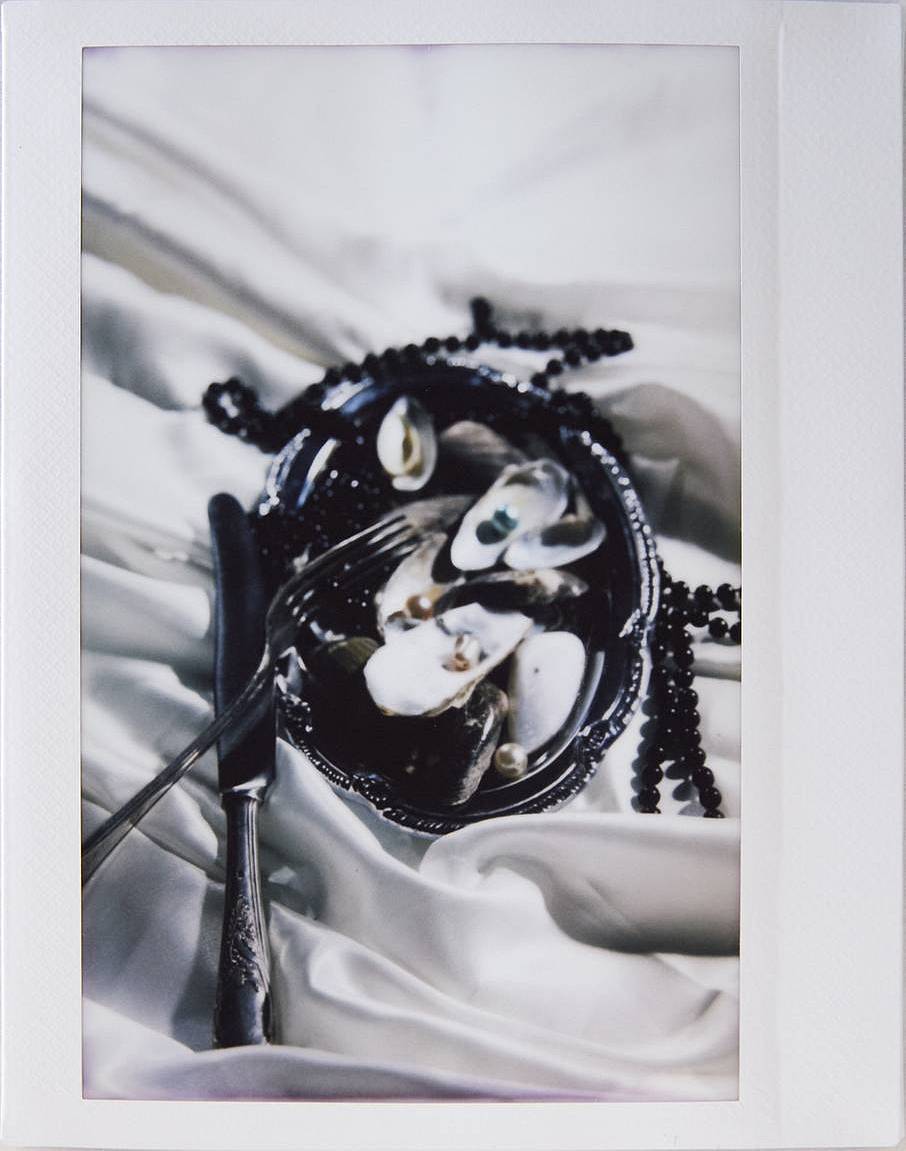 由 Mahnoosh Niakan 使用 LomoGraflok 4×5 拍立得机背拍摄