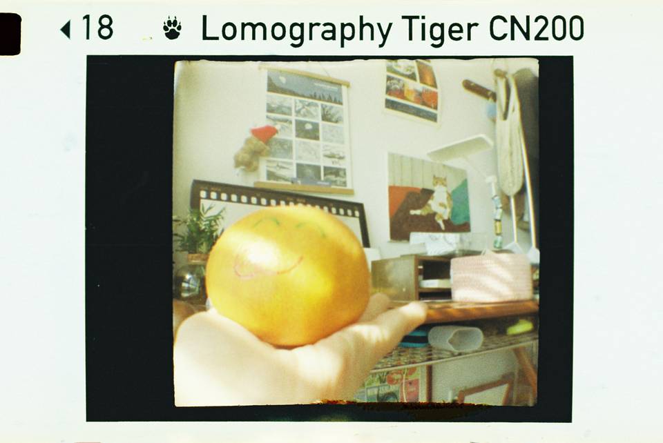 © 炉膛 | Diana Byby 110 胶片相机 &amp; Lomography Color Tiger 200 彩色负片