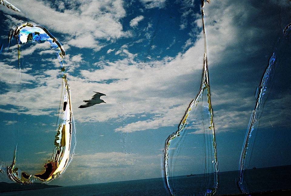 Photos by Tat Tso and Antonio Sotelo | Lomo MC-A 135 全自动随拍胶片相机