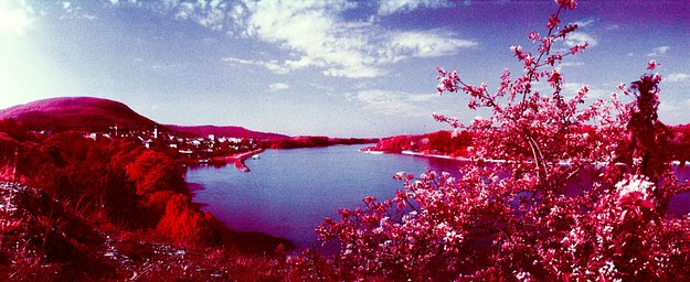 Camera: Widelux F8 · Lomography