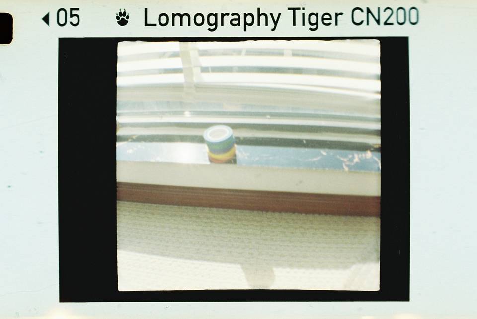 © 炉膛 | Diana Byby 110 胶片相机 &amp; Lomography Color Tiger 200 彩色负片