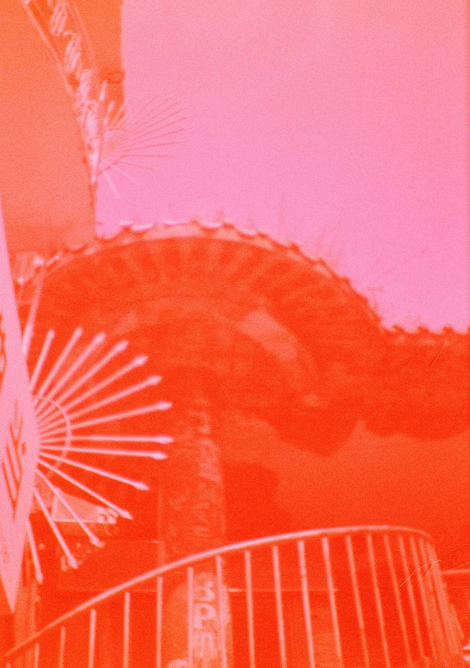 © 小蓝 | 使用 Lomourette 半格胶片相机连闪光灯 - Water Lilies莫奈睡莲特别版 &amp; LomoChrome Color '92 ISO 400 135 彩色负片拍摄