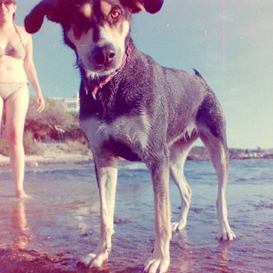 toky