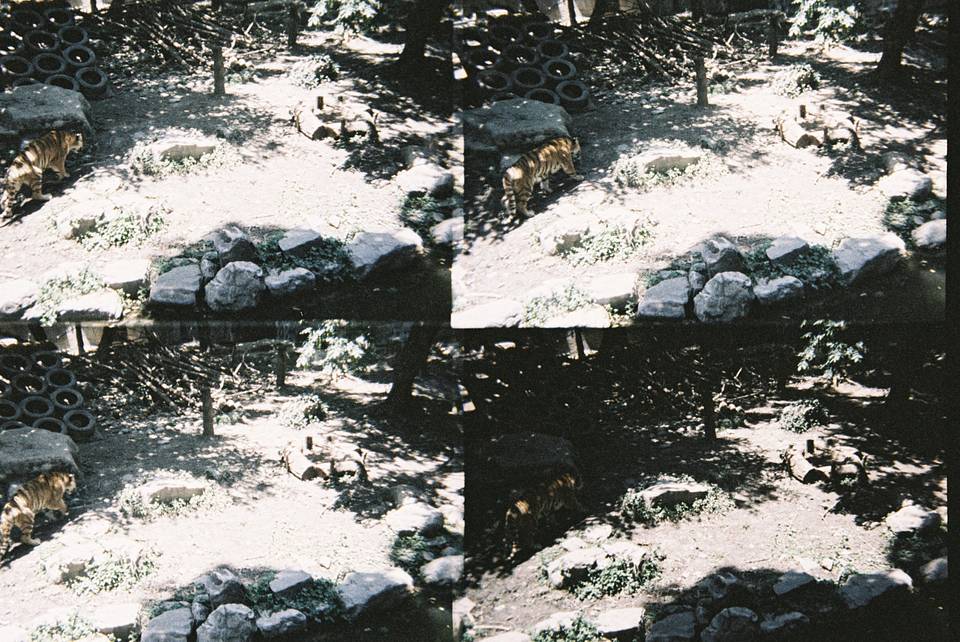 ActionSampler Clear 四格胶片相机 + LomoChrome Metropolis ISO 100–400 135 大都会胶卷－2021 新配方