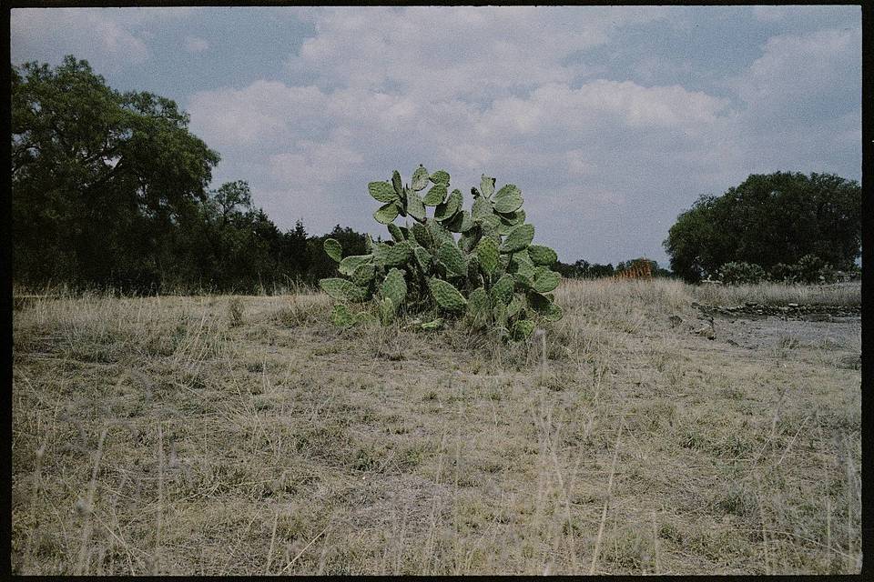 Photos by Sara Messinger