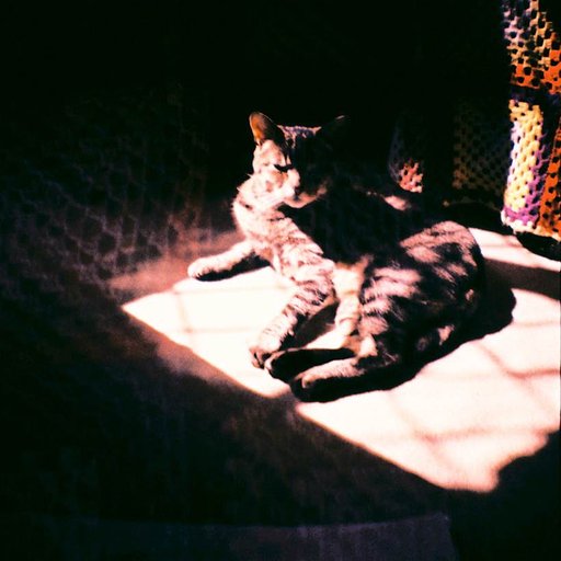 Lomo Amigo: Eleanor Hardwick Talks About the Rise and Shine of the New Generation While Using Diana Mini