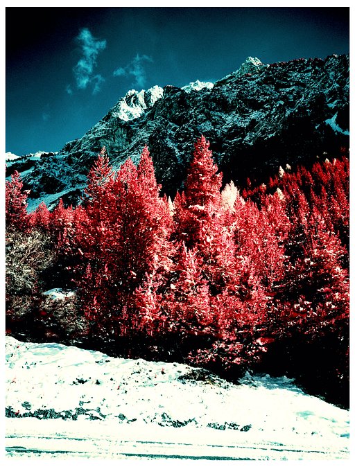 An Infrared Winter—Photos by @grandphilippe