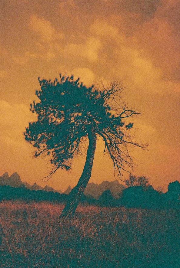© 空调水 ，模特：欧阳 | 使用 Lomo MC-A 135 全自动随拍胶片相机 &amp; Lomography Redscale XR ISO 50-200 135 红调负片胶卷 拍摄