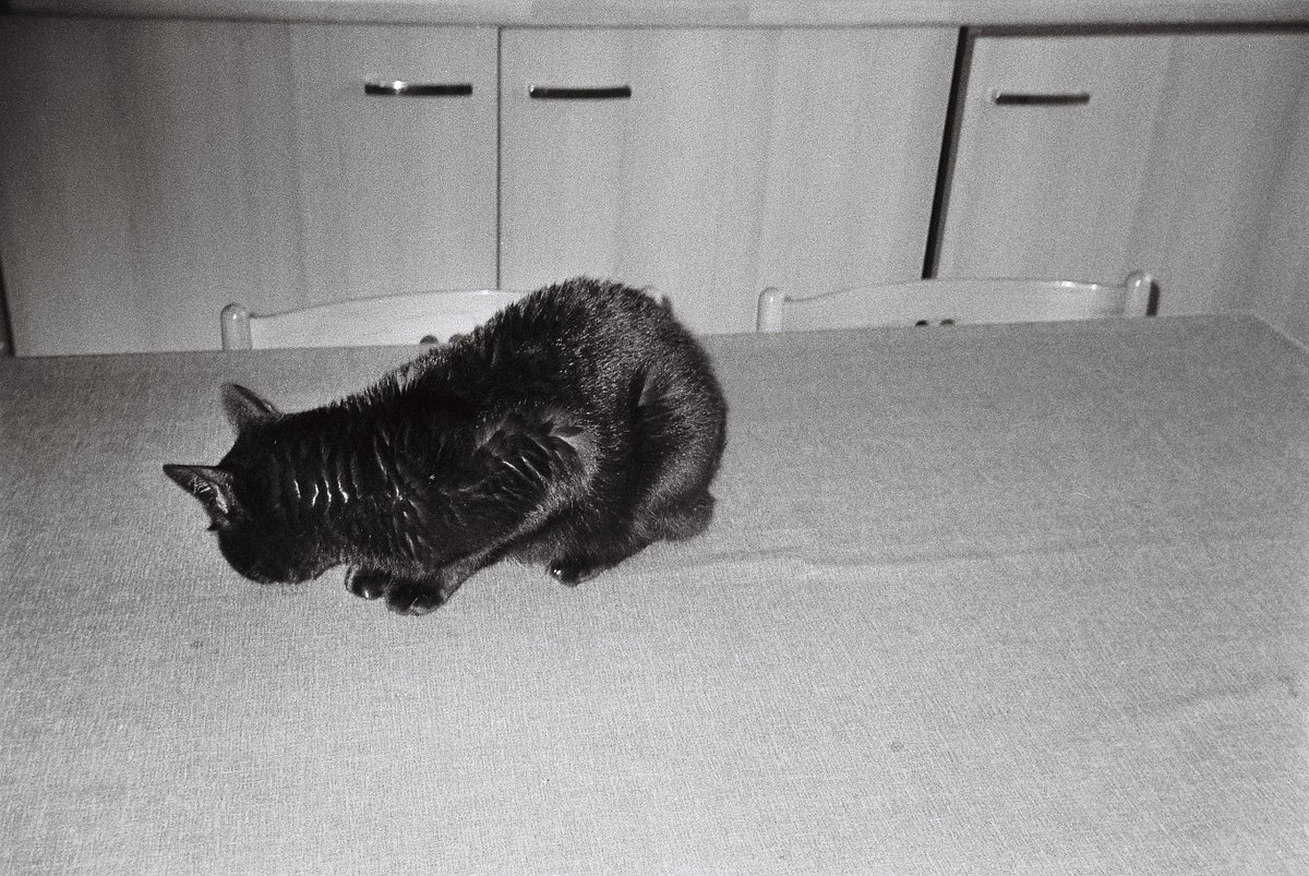カメラ: Olympus Superzoom 70g · Lomography
