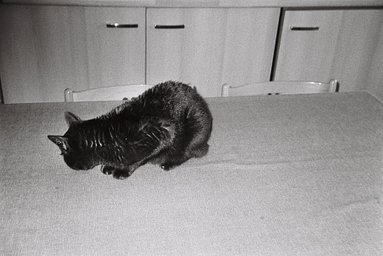 カメラ: Olympus Superzoom 70g · Lomography