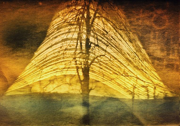 184-Day and 365-Day Exposures with Pinhole Cameras, Solargraphy by Community Member lomuc