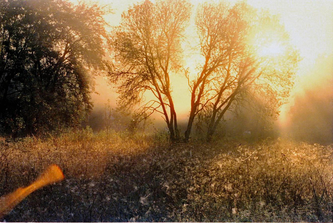 Photos using warming filters by f4bby_, agilfahrezy, oleman, &amp; lomychow