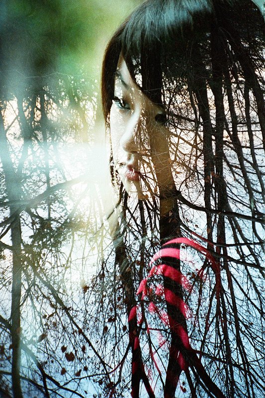 533x800x1.jpg?auth=