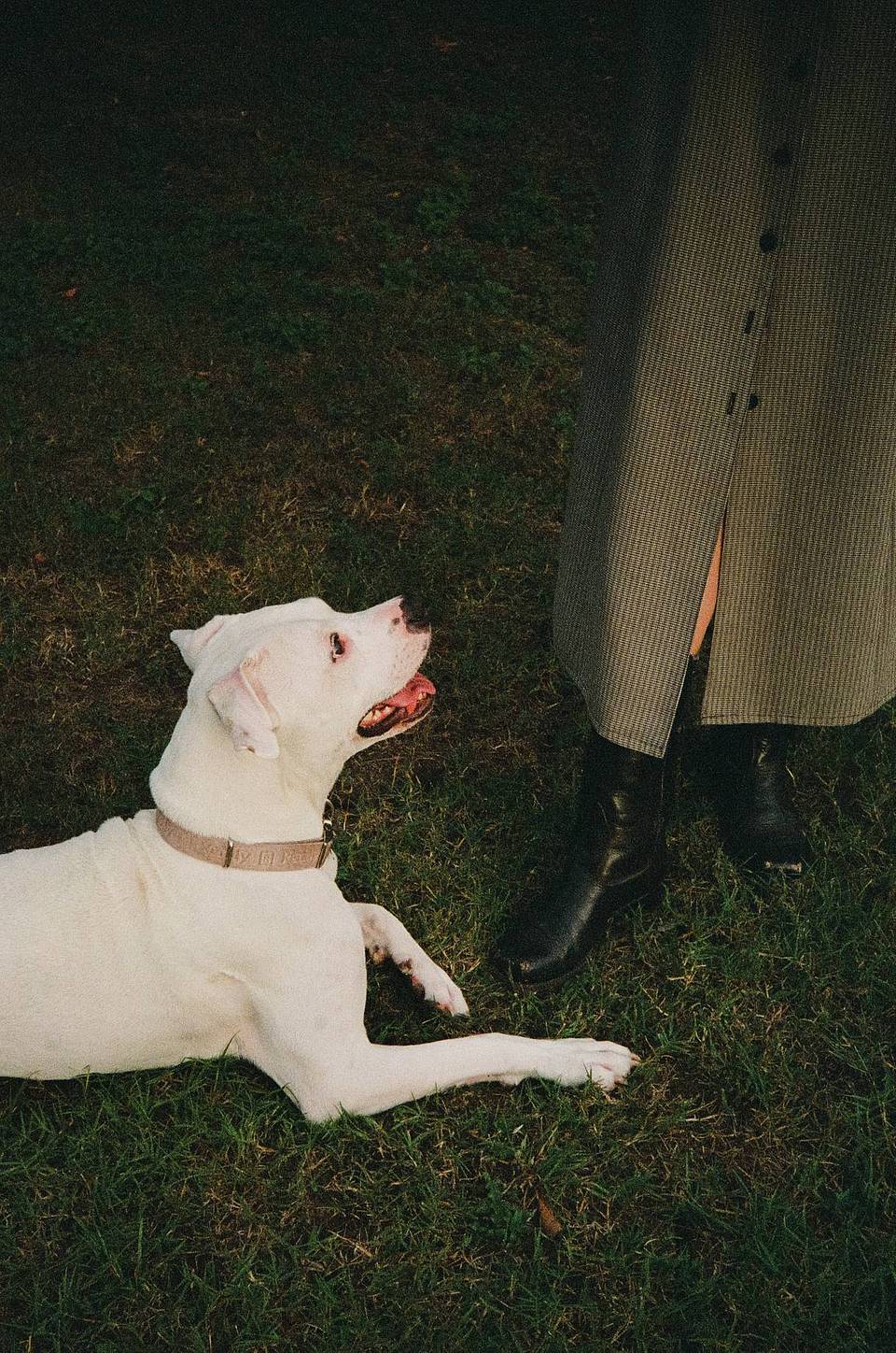 Photos by Justin Cook