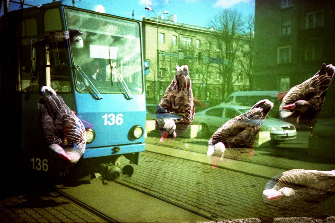 Photos by mwah, >dame-gente, palkina
