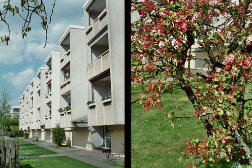 Agfa Parat I: Half Frame, Full Camera