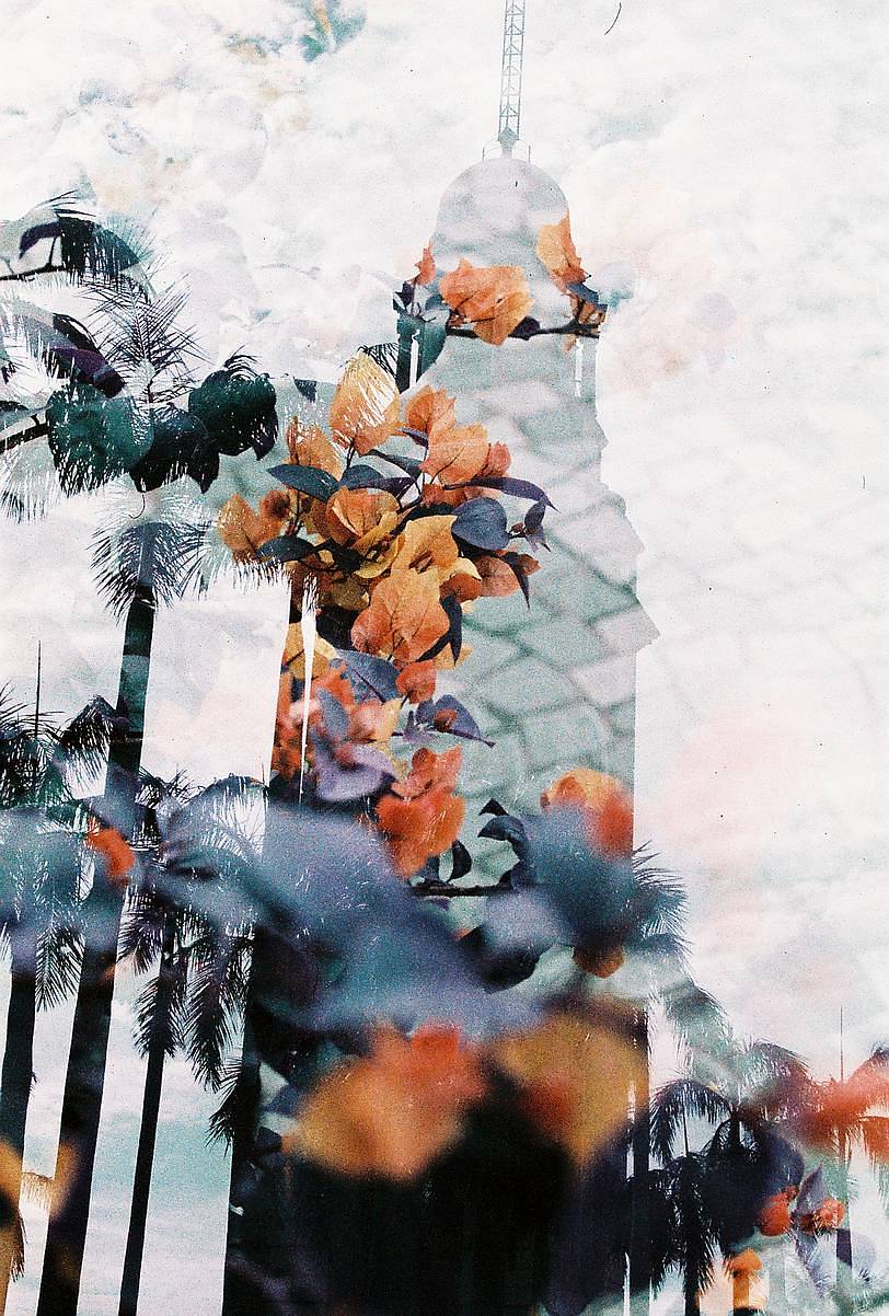 © pppppfilm |【 LomoChrome Turquoise XR 100-400 135 绿松石胶卷 】&amp;【 LomoChrome Purple ISO100-400 110 紫调负片胶卷 】&amp;【 LomoChrome Metropolis ISO 100–400 135 大都会胶卷－2021 新配方 】