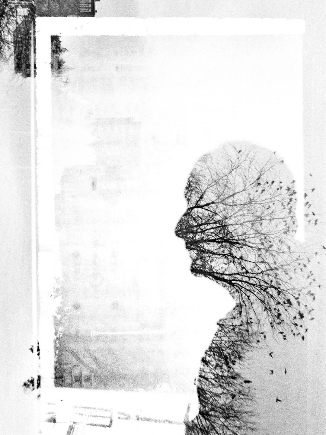 Film Photography Day 2025