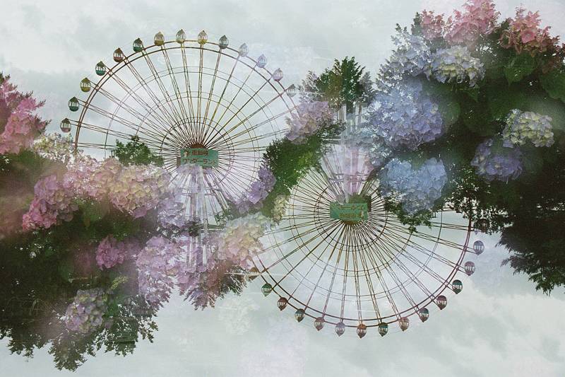 テクニック記事】期限切れフィルム、その魅力と特徴にせまる · Lomography