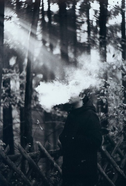 Hazy Days